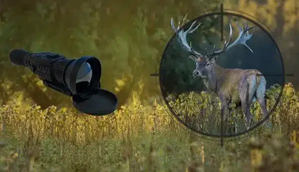 hunting scope deer2