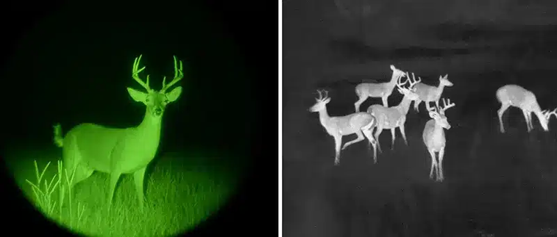 Deer on night vision scope and a couple of deers on thermal vision camera on the right